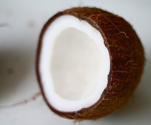 Coconut