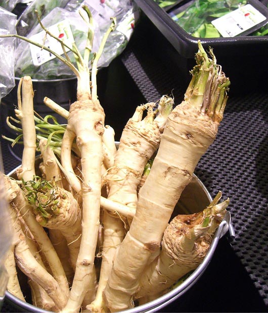 Horseadish