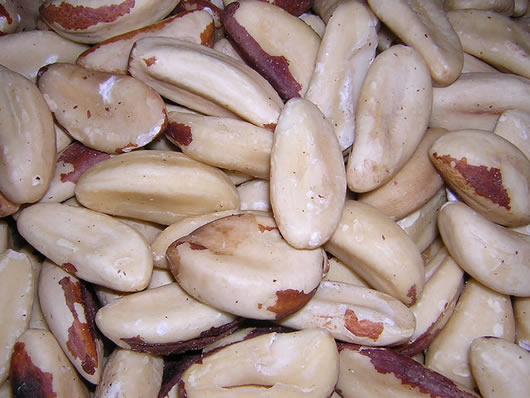 Brazil Nuts