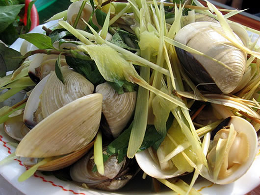 Clams